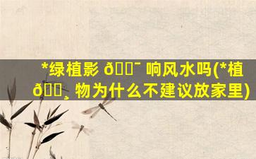 *
绿植影 🐯 响风水吗(*
植 🕸 物为什么不建议放家里)